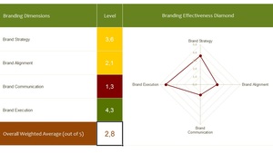 Thumb_brand_assessment