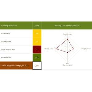 Thumb_padded_brand_assessment